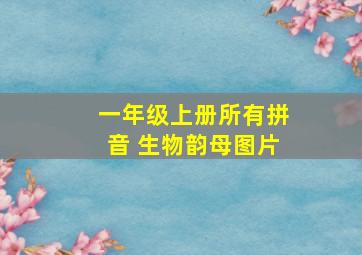 一年级上册所有拼音 生物韵母图片